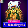 Karunisu_Sri_Siddalingesha
