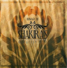 Homage_To_Shakira_s_Greatest_Hits