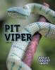 Pit_Viper