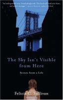 The_sky_isn_t_visible_from_here